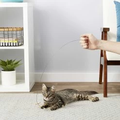 Frisco Cardboard & Wire Teaser Cat Toy & Frisco Fabric Teaser Wand Cat Toy -Frisco 302538 PT3. AC SS1800 V1623035861