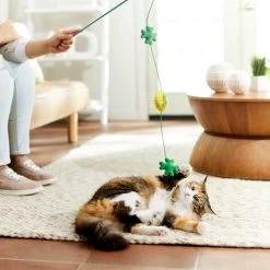 Frisco St. Patrick's Shamrock Teaser Wand Cat Toy With Catnip 8 Frisco St. Patrick's Shamrock Teaser Wand Cat Toy With Catnip -Frisco 303108 PT3. AC SS1800 V1641230422