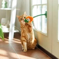 Frisco St. Patrick's Leprechaun Suction Cup Teaser Cat Toy With Catnip 9 Frisco St. Patrick's Leprechaun Suction Cup Teaser Cat Toy With Catnip -Frisco 303110 PT3. AC SS1800 V1641230446