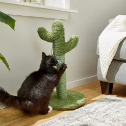 Frisco Novelty Unicorn Covered Cat & Dog Bed & Frisco Cactus Cat Scratching Post 17 Frisco Novelty Unicorn Covered Cat & Dog Bed & Frisco Cactus Cat Scratching Post -Frisco 303496 PT7. AC SS1800 V1623062246