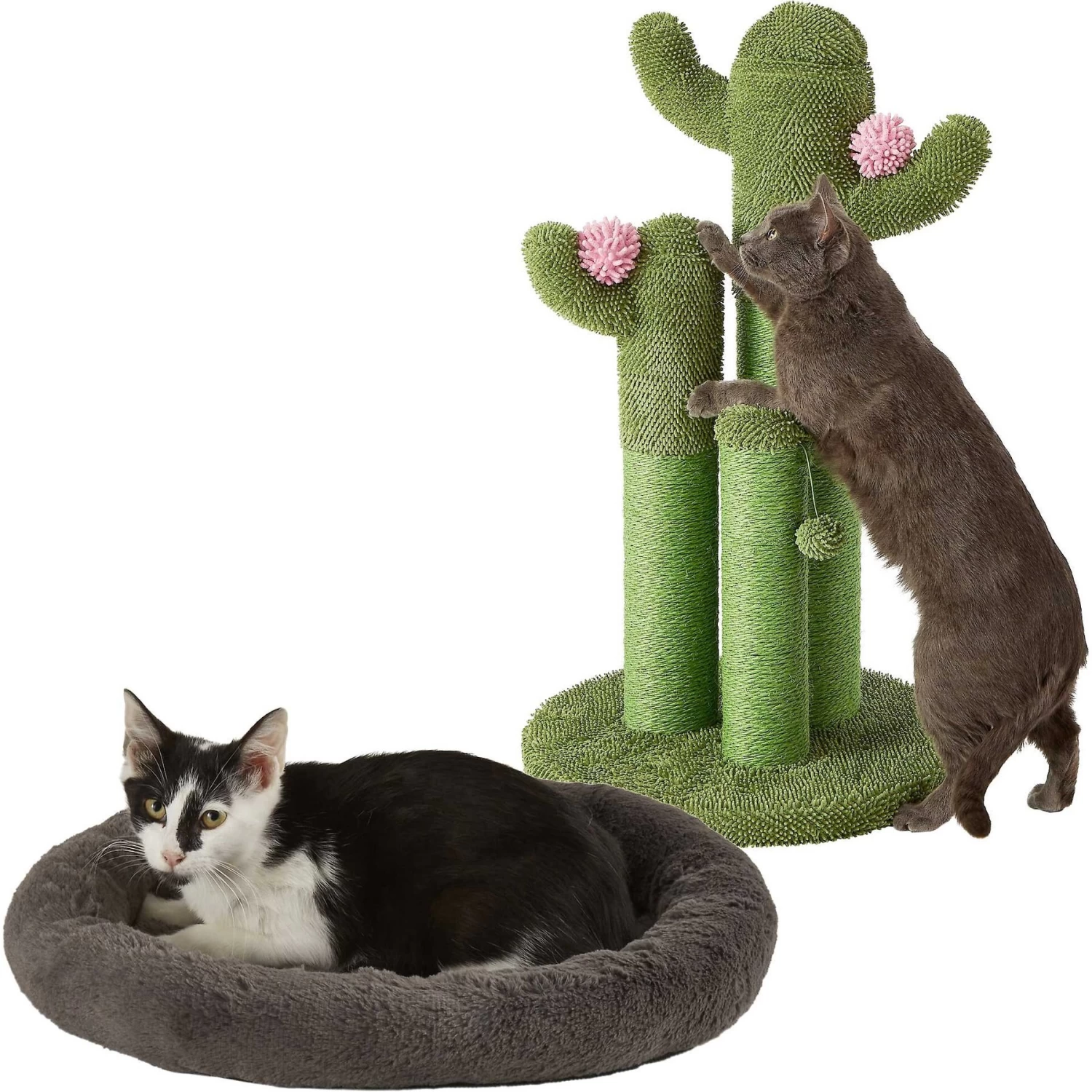 Frisco Self Warming Bolster Round Kitten Bed & Frisco Cactus Cat Scratching Post 3 Frisco Self Warming Bolster Round Kitten Bed & Frisco Cactus Cat Scratching Post