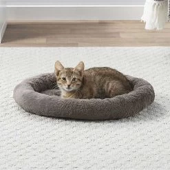 Frisco Self Warming Bolster Round Kitten Bed & Frisco Cactus Cat Scratching Post 13 Frisco Self Warming Bolster Round Kitten Bed & Frisco Cactus Cat Scratching Post -Frisco 303576 PT3. AC SS1800 V1623056548