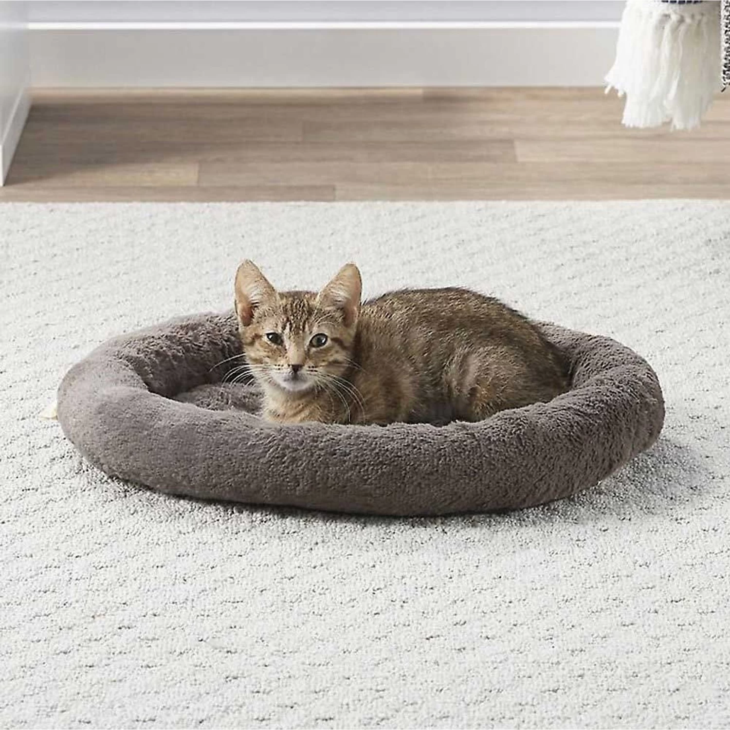 Frisco Self Warming Bolster Round Kitten Bed & Frisco Cactus Cat Scratching Post 6 Frisco Self Warming Bolster Round Kitten Bed & Frisco Cactus Cat Scratching Post - Image 4