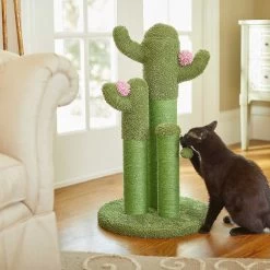 Frisco Self Warming Bolster Round Kitten Bed & Frisco Cactus Cat Scratching Post 17 Frisco Self Warming Bolster Round Kitten Bed & Frisco Cactus Cat Scratching Post -Frisco 303576 PT7. AC SS1800 V1623065551
