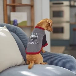 Frisco Bad Motha Fluffa Dog & Cat T-Shirt -Frisco 312048 PT8. AC SS1800 V1644446866