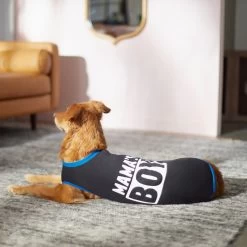 Frisco Mama's Boy Dog & Cat T-Shirt -Frisco 312088 PT5. AC SS1800 V1673361675