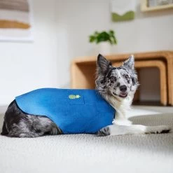 Frisco Chambray Pineapple Dog & Cat Shirt 19 Frisco Chambray Pineapple Dog & Cat Shirt -Frisco 312192 PT8. AC SS1800 V1644526681