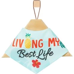 Frisco Living My Best Life Dog & Cat Bandana -Frisco 312288 PT3. AC SS1800 V1644883285