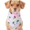 Frisco Palm Tree Dog & Cat Bandana 2 Frisco Palm Tree Dog & Cat Bandana -Frisco 312291 MAIN. AC SS1800 V1644885149