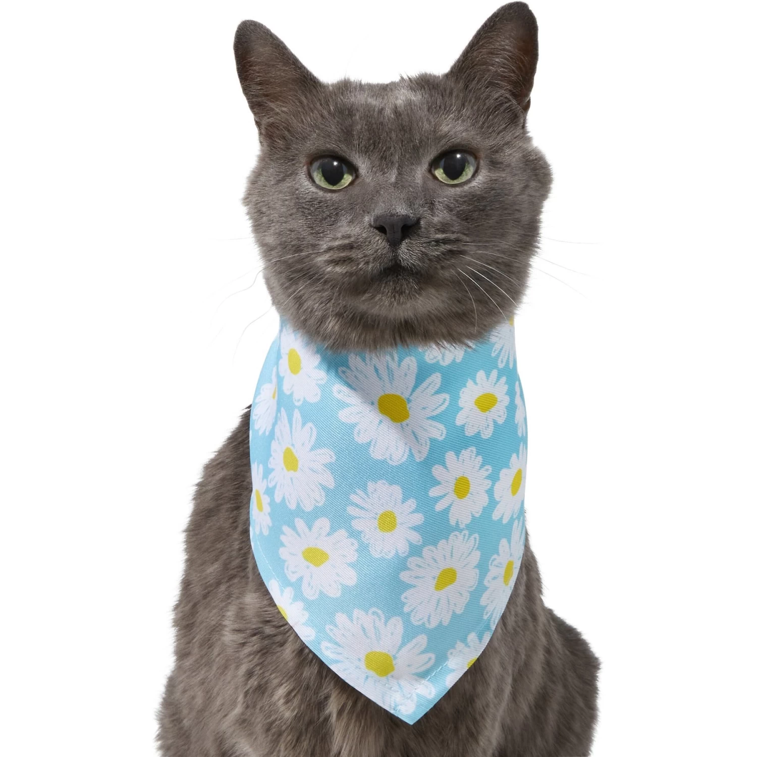 Frisco Daisy Dog & Cat Bandana 5 Frisco Daisy Dog & Cat Bandana - Image 3