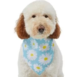 Frisco Daisy Dog & Cat Bandana 13 Frisco Daisy Dog & Cat Bandana -Frisco 312303 PT3. AC SS1800 V1673302704