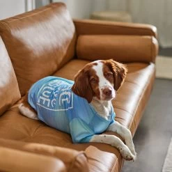 Frisco Peace Love Rescue Dog & Cat T-Shirt 13 Frisco Peace Love Rescue Dog & Cat T-Shirt -Frisco 315068 PT8. AC SS1800 V1646351303