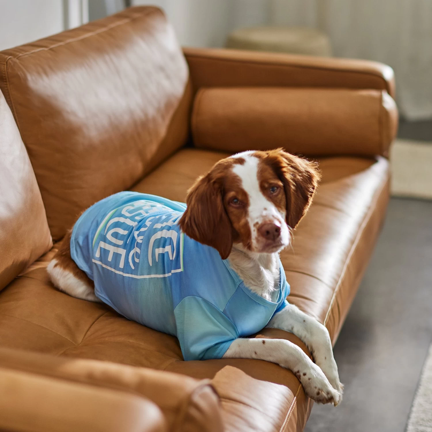 Frisco Peace Love Rescue Dog & Cat T-Shirt 8 Frisco Peace Love Rescue Dog & Cat T-Shirt - Image 6