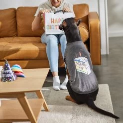 Frisco Birthday Pup Dog & Cat T-Shirt -Frisco 315076 PT8. AC SS1800 V1646438210