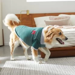 Frisco Green Rugby Dog & Cat Polo Shirt 19 Frisco Green Rugby Dog & Cat Polo Shirt -Frisco 315084 PT8. AC SS1800 V1646436749