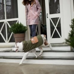 Frisco Lightweight Olive Reversible Packable Dog Raincoat -Frisco 315116 PT8. AC SS1800 V1646435907