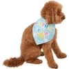 Frisco Birthday Pup Dog & Cat Bandana -Frisco 315130 MAIN. AC SS1800 V1646437330