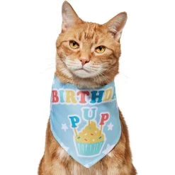 Frisco Birthday Pup Dog & Cat Bandana 11 Frisco Birthday Pup Dog & Cat Bandana -Frisco 315130 PT2. AC SS1800 V1646437964