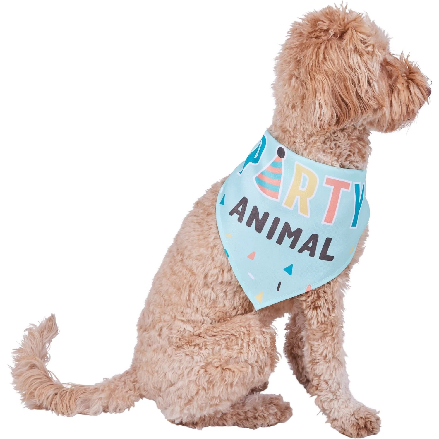 Frisco Party Animal Dog & Cat Bandana 3 Frisco Party Animal Dog & Cat Bandana