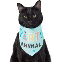 Frisco Party Animal Dog & Cat Bandana 11 Frisco Party Animal Dog & Cat Bandana -Frisco 315136 PT2. AC SS1800 V1646438016