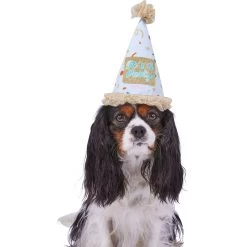 Frisco It's A Party Animal Dog & Cat Hat -Frisco 315140 PT2. AC SS1800 V1646434624