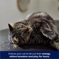 Frisco Natural Catnip -Frisco 316067 PT3. AC SS1800 V1683132277