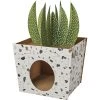 Frisco Potted Succulent Cardboard Cat House 2 Frisco Potted Succulent Cardboard Cat House -Frisco 317723 MAIN. AC SS1800 V1688677259