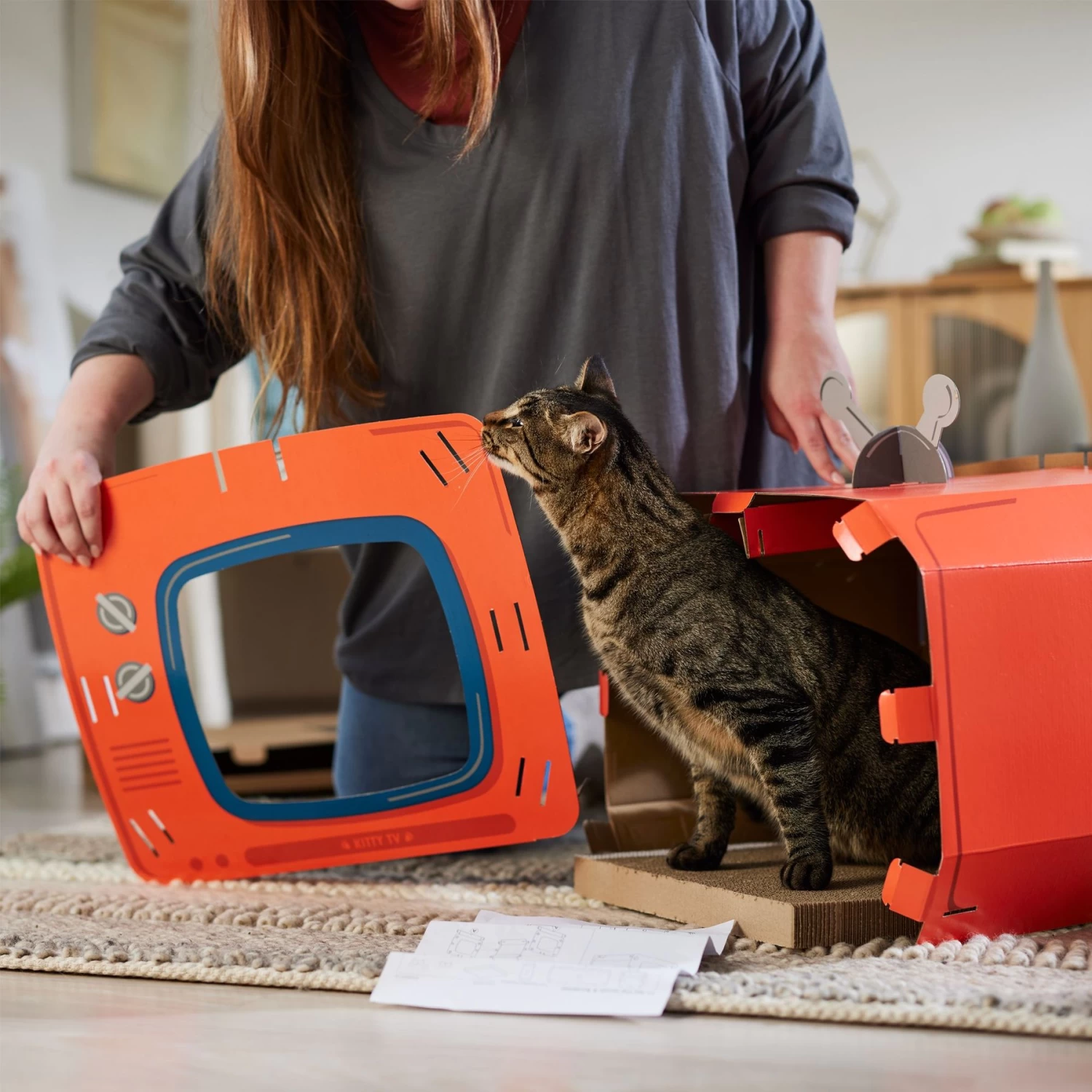 Frisco TV Set Cardboard Cat House 6 Frisco TV Set Cardboard Cat House - Image 4