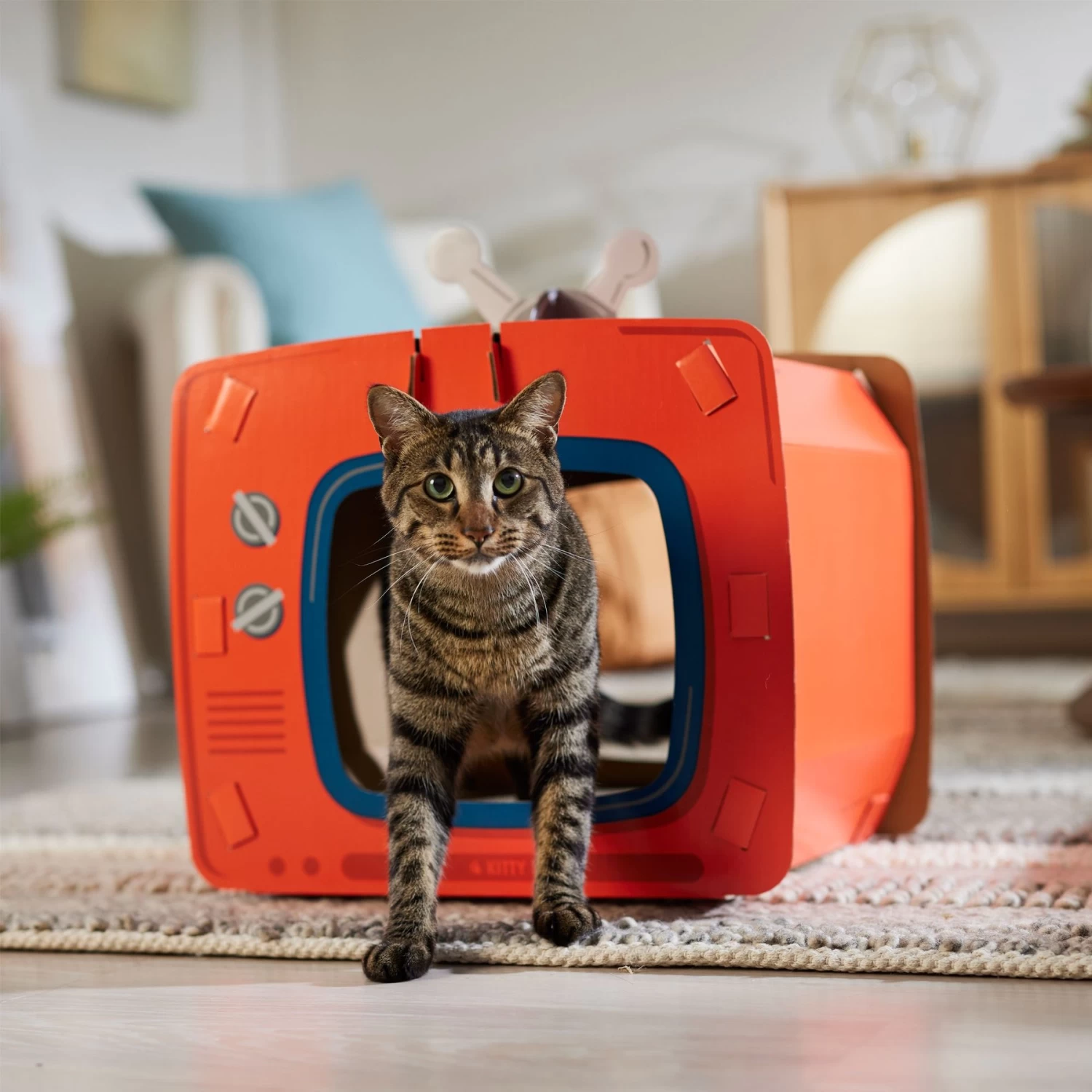 Frisco TV Set Cardboard Cat House 7 Frisco TV Set Cardboard Cat House - Image 5