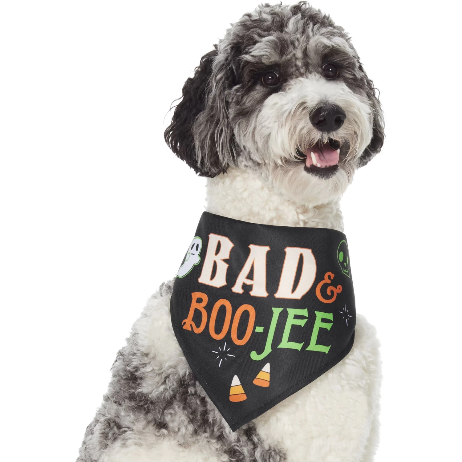 Frisco Bad & Boo-Jee Dog & Cat Costume Bandana 3 Frisco Bad & Boo-Jee Dog & Cat Costume Bandana