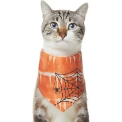 Frisco Orange Spiderweb Dog & Cat Costume Bandana -Frisco 335046 PT2. AC SS1800 V1658716498