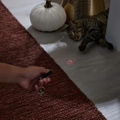 Frisco Halloween Skull Laser Cat Toy 10 Frisco Halloween Skull Laser Cat Toy -Frisco 344068 PT3. AC SS1800 V1659279988