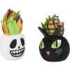 Frisco Halloween Succulents Plush Cat Toy With Catnip, 2 Count -Frisco 344082 MAIN. AC SS1800 V1657657033