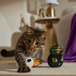 Frisco Halloween Succulents Plush Cat Toy With Catnip, 2 Count -Frisco 344082 PT3. AC SS1800 V1657657035
