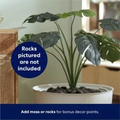 Frisco Hidden Planter Cat Litter Box, 16-in 12 Frisco Hidden Planter Cat Litter Box, 16-in -Frisco 345566 PT4. AC SS1800 V1668737273