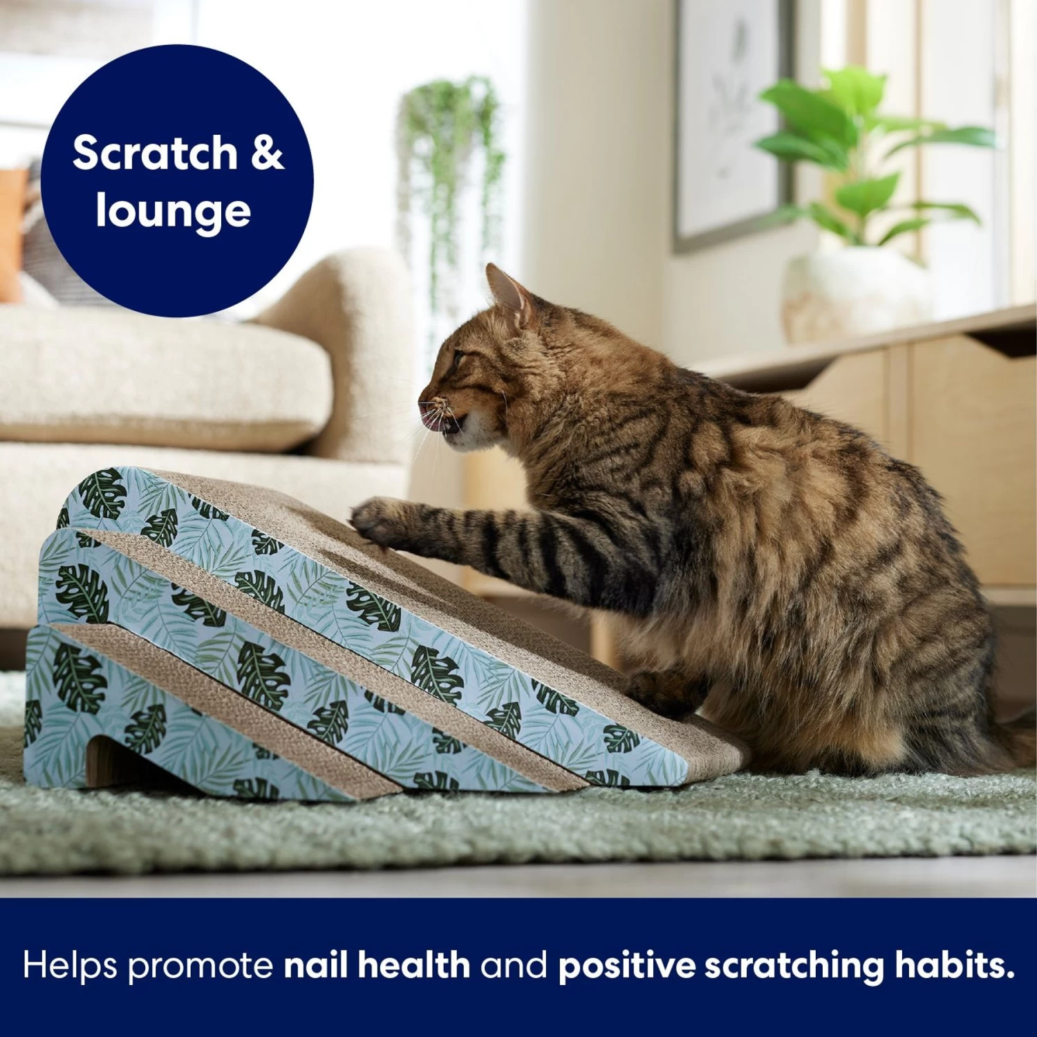 Frisco Nesting Cat Scratcher Toy With Catnip, Tropical Paradise 5 Frisco Nesting Cat Scratcher Toy With Catnip, Tropical Paradise - Image 3