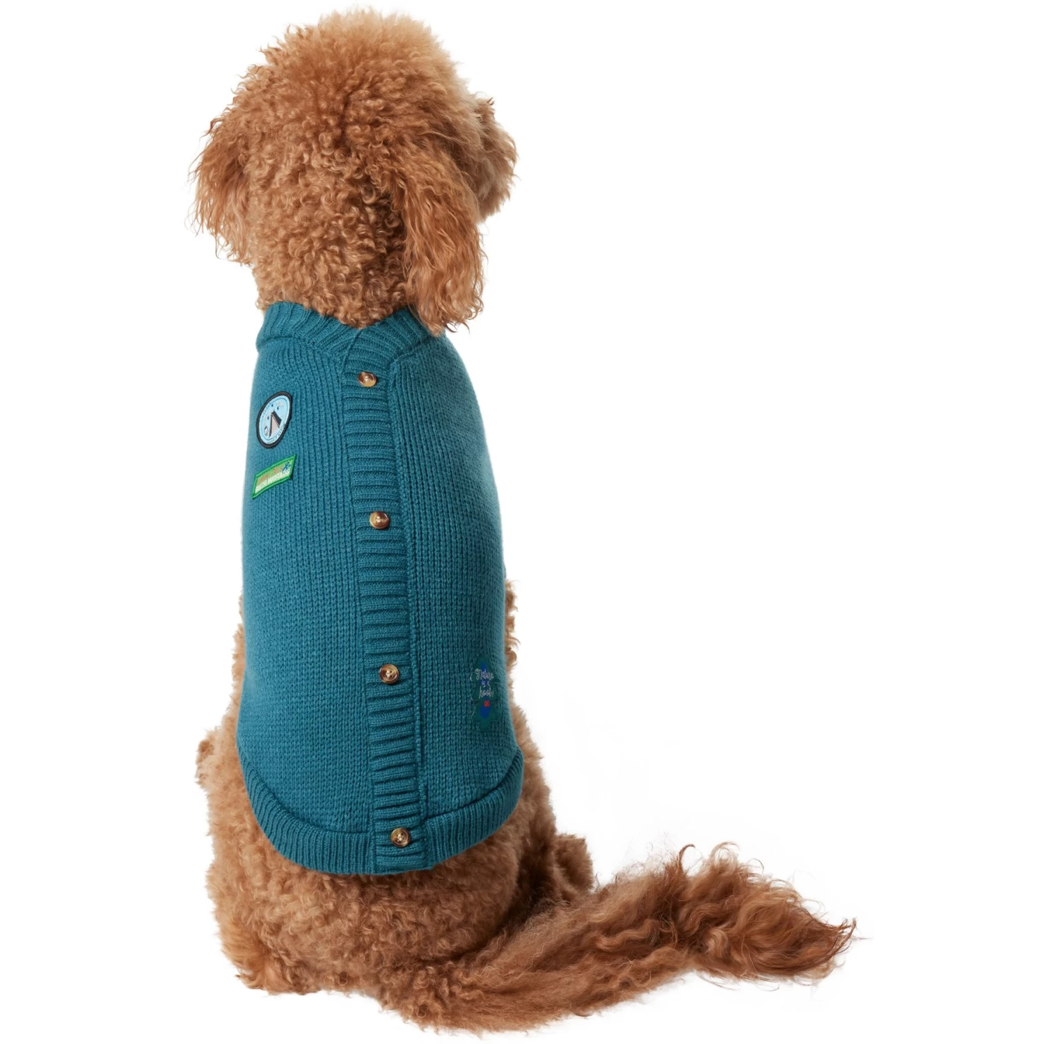 Frisco Teal Button Down Dog & Cat Sweater 5 Frisco Teal Button Down Dog & Cat Sweater - Image 3