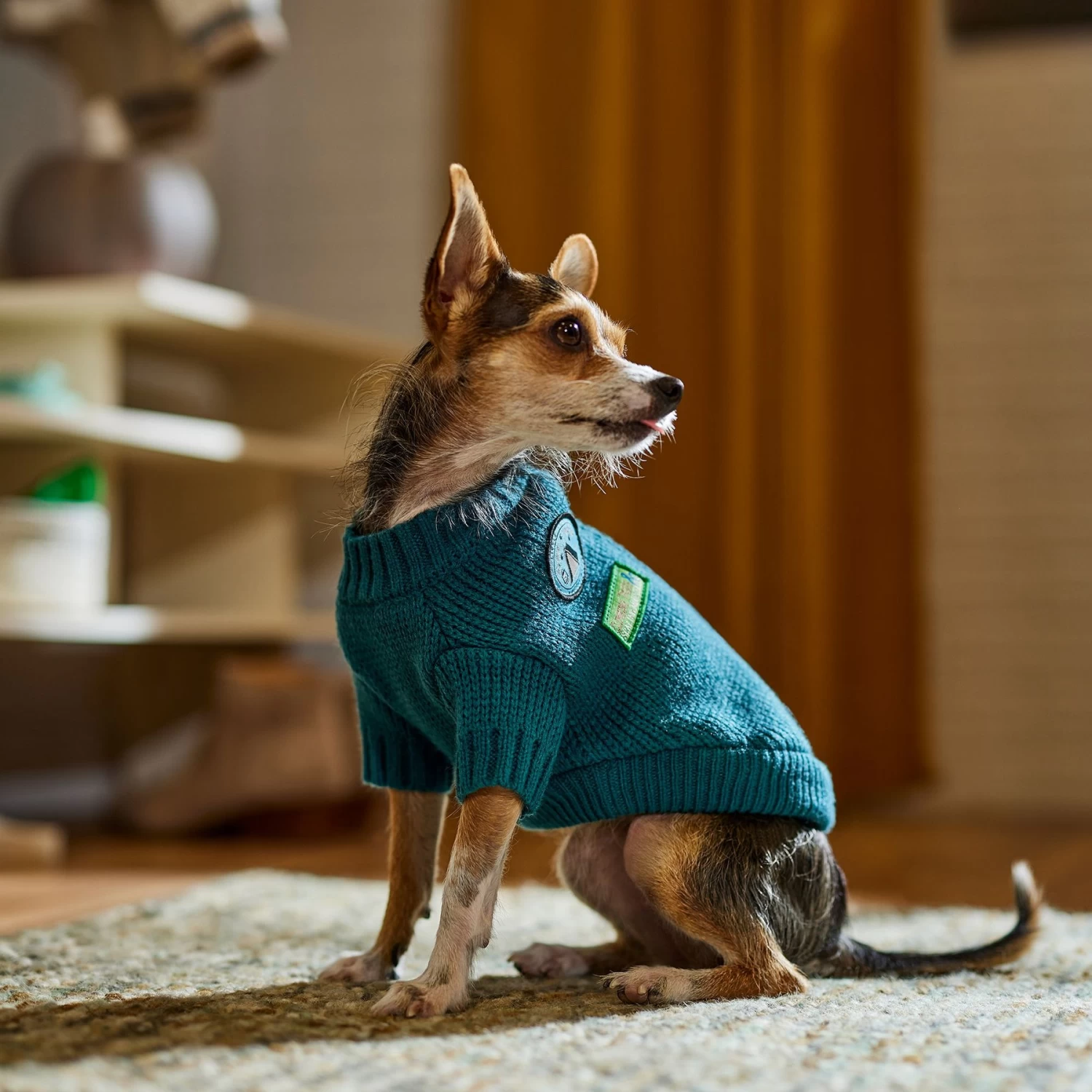 Frisco Teal Button Down Dog & Cat Sweater 8 Frisco Teal Button Down Dog & Cat Sweater - Image 6