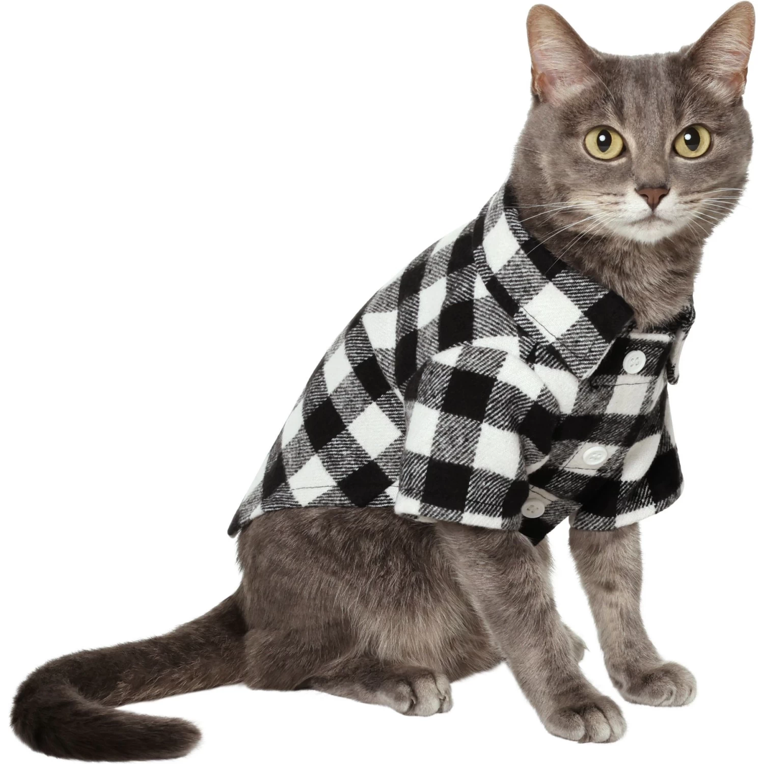 Frisco Black Plaid Dog & Cat Shirt 3 Frisco Black Plaid Dog & Cat Shirt