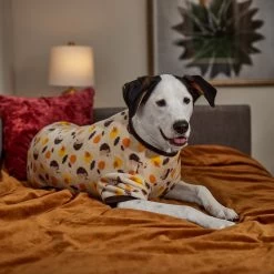 Frisco Hedgehog Dog & Cat Fleece Pajamas -Frisco 353730 PT6. AC SS1800 V1660749991