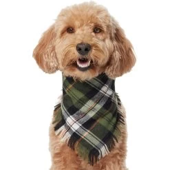 Frisco Plaid Fringe Dog & Cat Bandana -Frisco 353769 PT2. AC SS1800 V1659010812