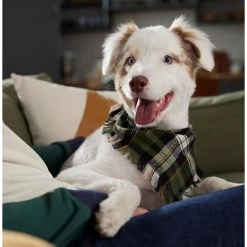 Frisco Plaid Fringe Dog & Cat Bandana -Frisco 353769 PT6. AC SS1800 V1660749811