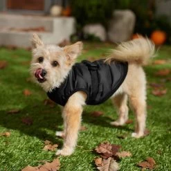 Frisco Lightweight Belted Puffer Dog & Cat Jacket -Frisco 353825 PT7. AC SS1800 V1660749777