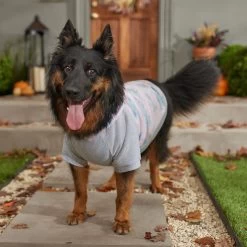 Frisco Pink Tie Dye Dog & Cat Hoodie -Frisco 353981 PT7. AC SS1800 V1660749835