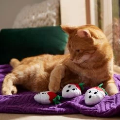 Frisco Halloween Ghost Strawberries Plush Cat Toy With Catnip, 3 Count -Frisco 354127 PT3. AC SS1800 V1657657123