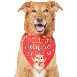 Frisco Cutest Reindeer Of All Dog & Cat Bandana -Frisco 357931 PT2. AC SS1800 V1660756046