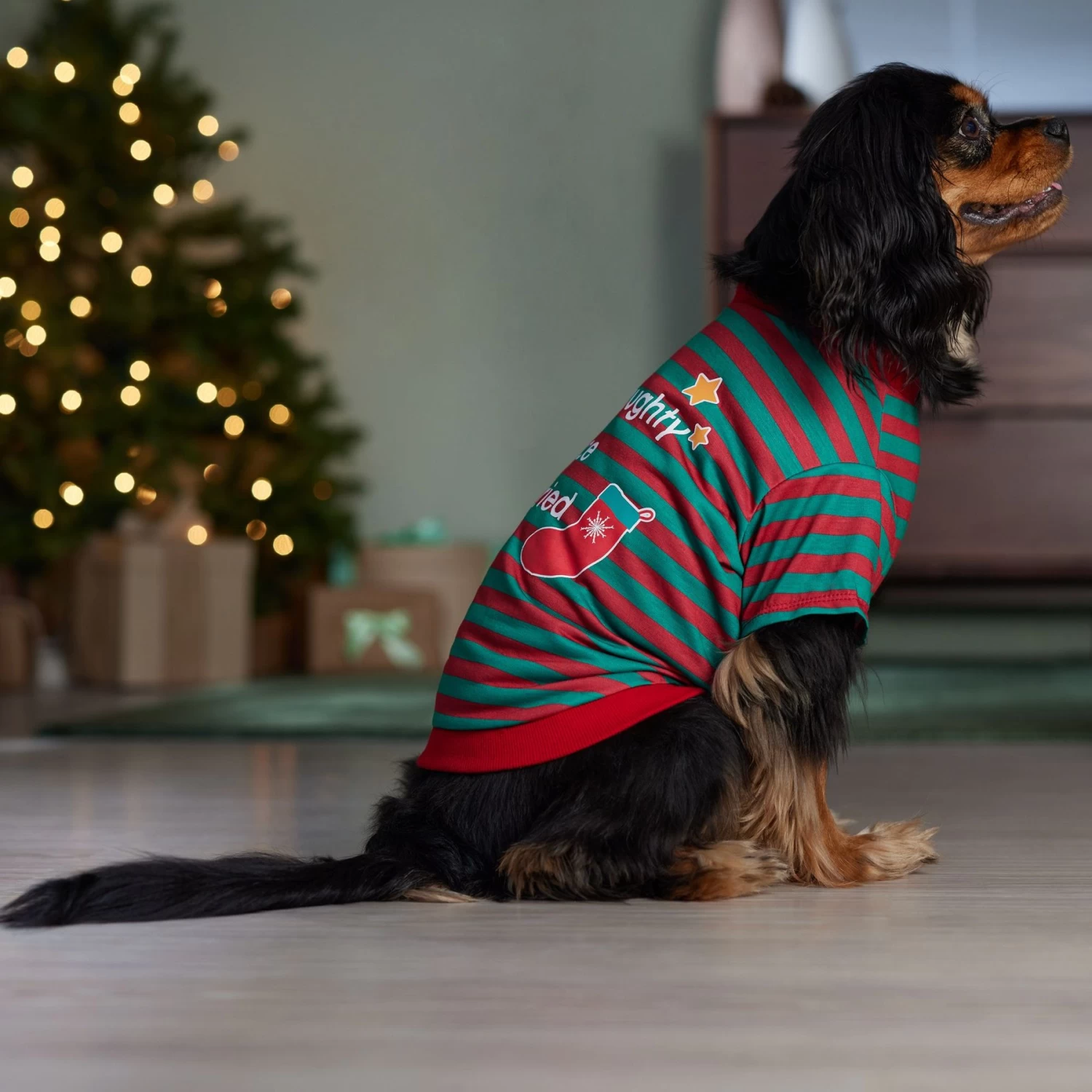 Frisco Naughty, Nice, I Tried Dog & Cat T-Shirt 8 Frisco Naughty, Nice, I Tried Dog & Cat T-Shirt - Image 6