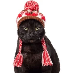 Frisco Reindeer Fair Isle Dog & Cat Pom Hat -Frisco 358309 PT2. AC SS1800 V1660764825