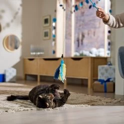 Frisco Hanukkah Interchangeable Teaser Wand Cat Toy With Catnip -Frisco 360911 PT3. AC SS1800 V1661890134