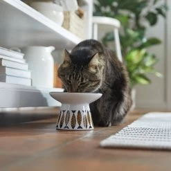 Frisco Cat Face Wide Shape Elevated Non-Skid Ceramic Cat Bowl 10 Frisco Cat Face Wide Shape Elevated Non-Skid Ceramic Cat Bowl -Frisco 363381 PT3. AC SS1800 V1657657267